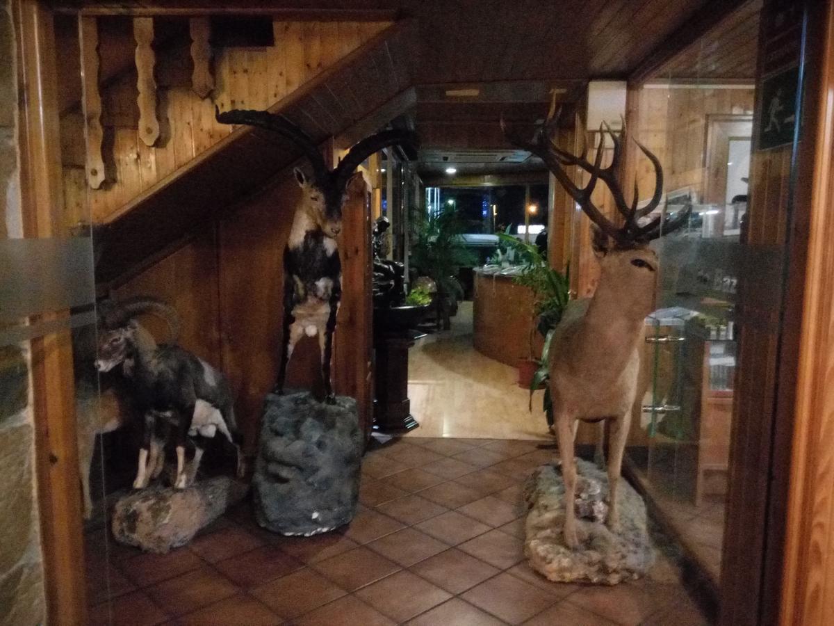 Hostal Sierra De באזה מראה חיצוני תמונה
